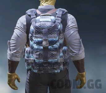 Backpack Watcher, Uncommon camo in Call of Duty Mobile