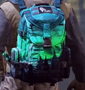 Backpack Aurora Borealis, Rare camo in Call of Duty Mobile