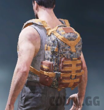 Backpack Buckles & Spurs, Rare camo in Call of Duty Mobile