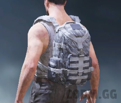 Backpack Brushed Chrome, Rare camo in Call of Duty Mobile