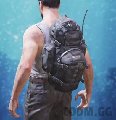 Backpack Stock Up, Epic camo in Call of Duty Mobile