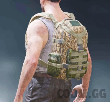 Backpack Lost in Time, Rare camo in Call of Duty Mobile