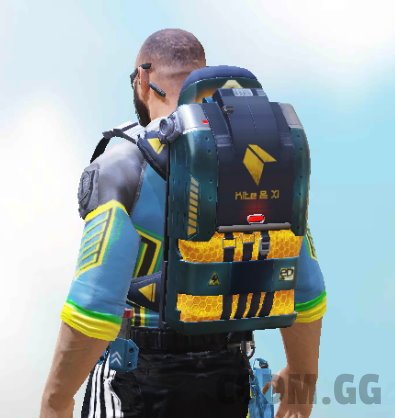 Backpack Hexoglyph, Epic camo in Call of Duty Mobile