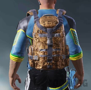 Backpack Vase, Uncommon camo in Call of Duty Mobile