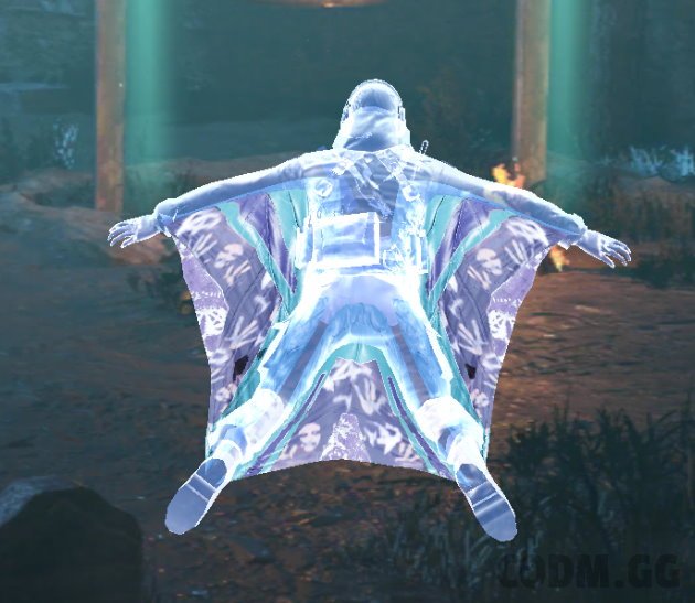 Wingsuit Apparition, Rare camo in Call of Duty Mobile