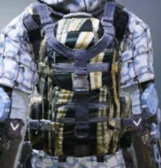 Backpack Reticulated, Uncommon camo in Call of Duty Mobile