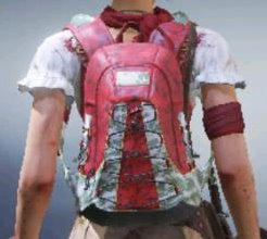 Backpack Skulls & Blood, Rare camo in Call of Duty Mobile