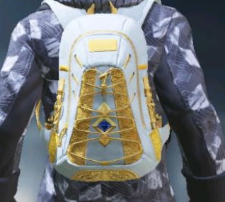 Backpack Medieval, Rare camo in Call of Duty Mobile