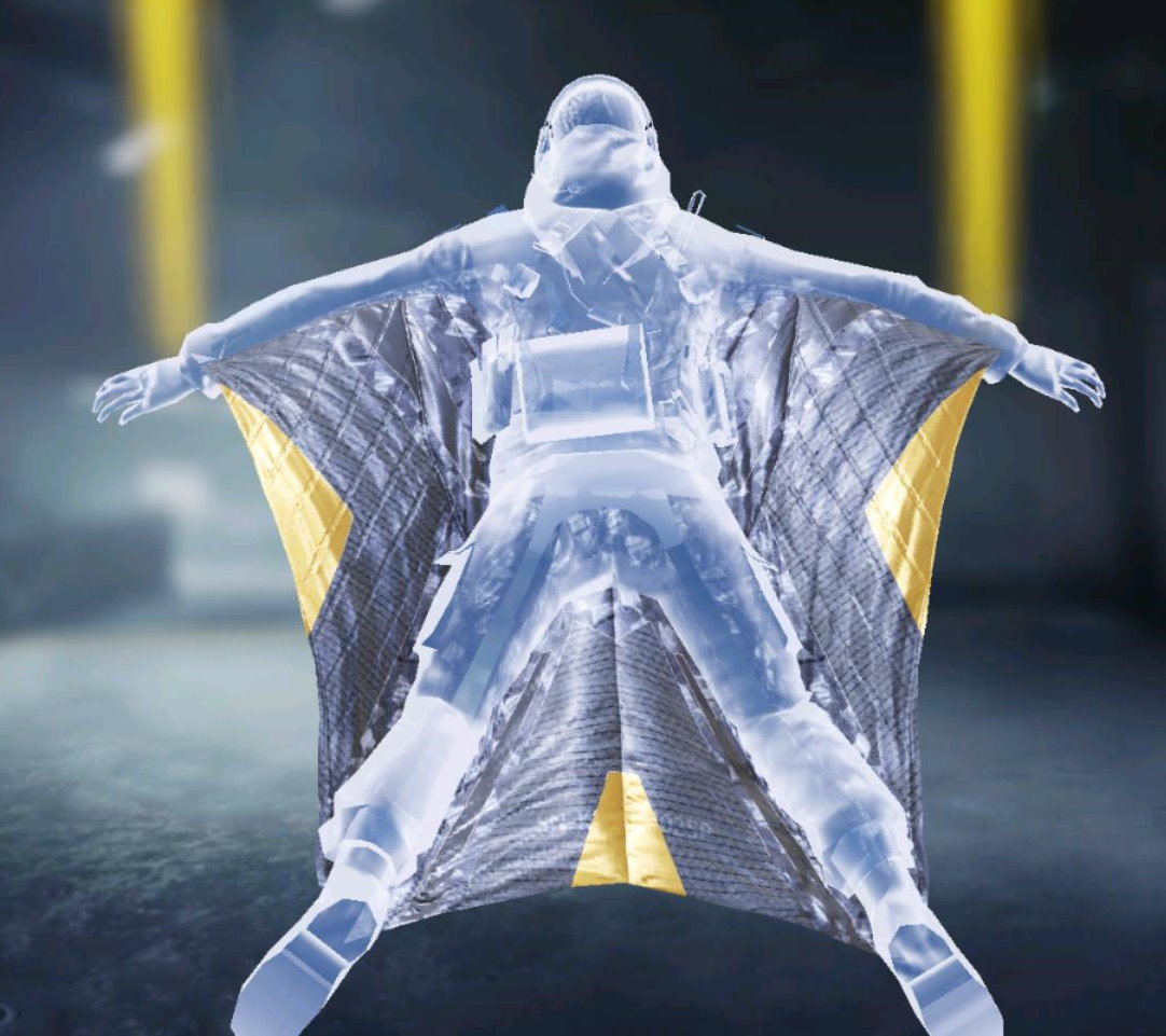 Wingsuit Tin Stitched, Rare camo in Call of Duty Mobile