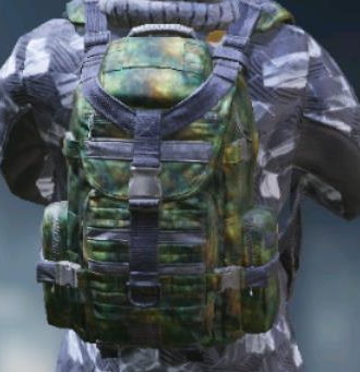 Backpack Decay, Uncommon camo in Call of Duty Mobile