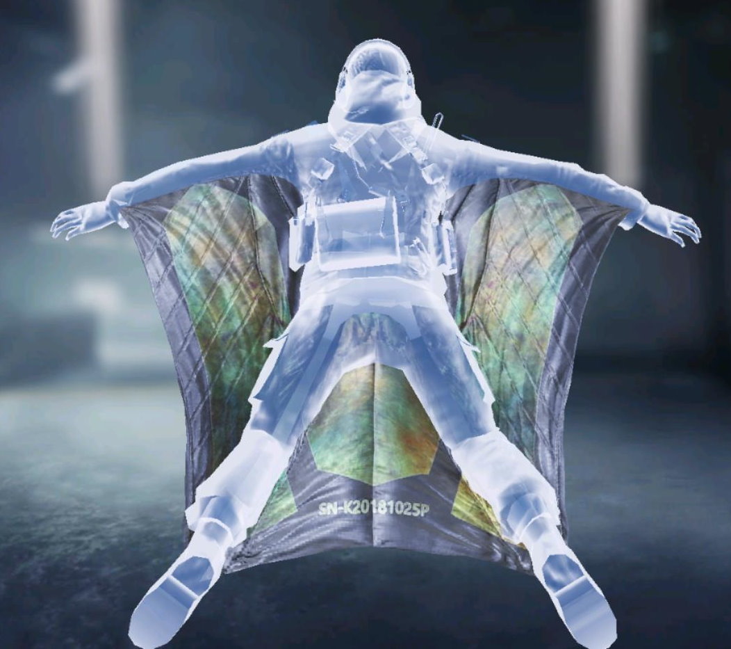 Wingsuit Decay, Uncommon camo in Call of Duty Mobile