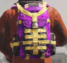 Backpack Championship Purple, Rare camo in Call of Duty Mobile