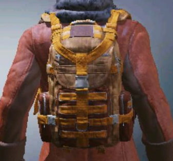 Backpack Undead Crusade, Rare camo in Call of Duty Mobile