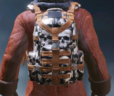Backpack Catacombs, Rare camo in Call of Duty Mobile