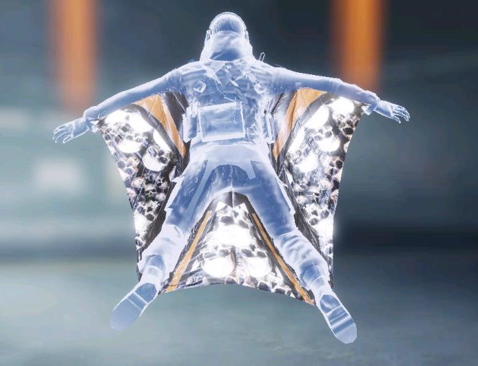 Wingsuit Catacombs, Rare camo in Call of Duty Mobile