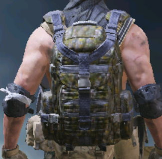 Backpack Moss Rock, Uncommon camo in Call of Duty Mobile
