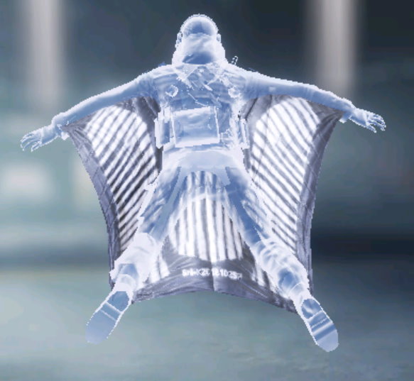 Wingsuit Zebra, Uncommon camo in Call of Duty Mobile