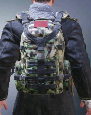 Backpack Iridescent, Rare camo in Call of Duty Mobile