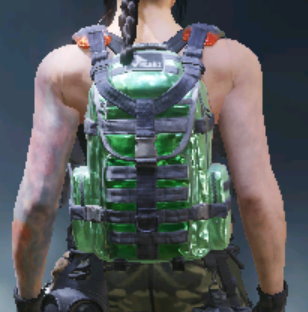 Backpack Tourmaline, Epic camo in Call of Duty Mobile