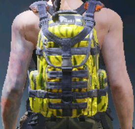 Backpack Tiger's Eye, Epic camo in Call of Duty Mobile