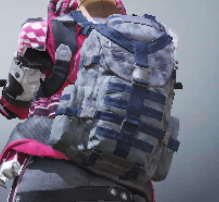 Backpack Stalwart, Rare camo in Call of Duty Mobile