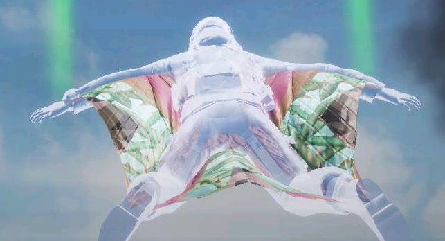 Wingsuit Brambles, Rare camo in Call of Duty Mobile
