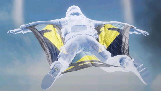 Wingsuit Abnormality, Uncommon camo in Call of Duty Mobile
