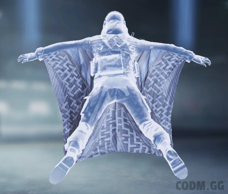 Wingsuit Labyrinth, Rare camo in Call of Duty Mobile