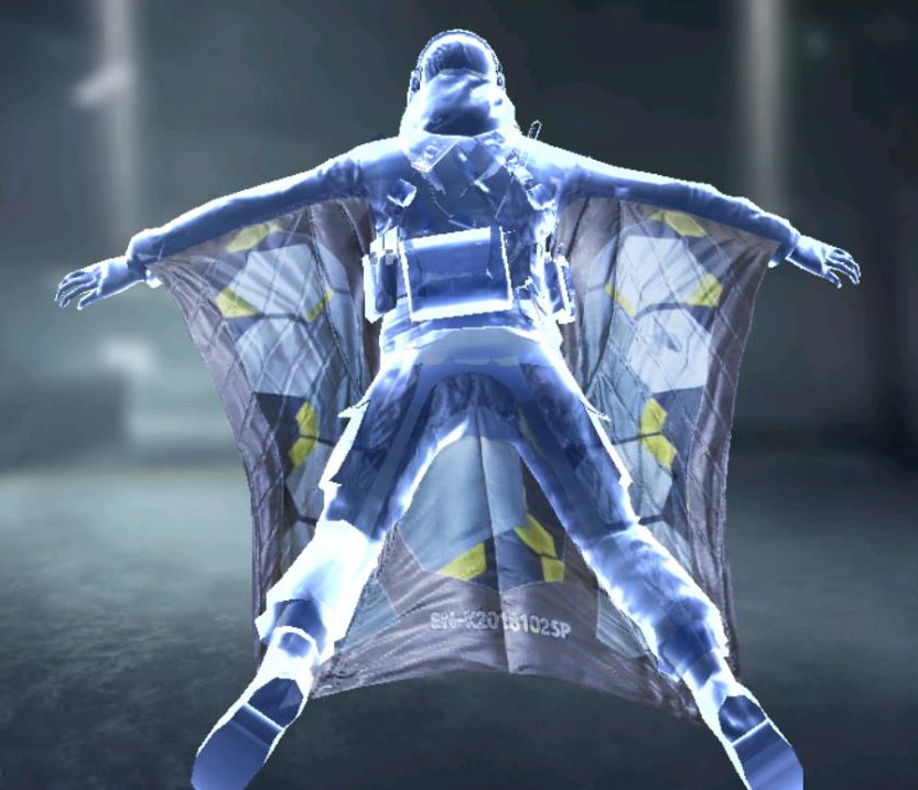 Wingsuit Malware, Uncommon camo in Call of Duty Mobile