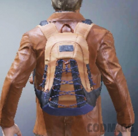 Backpack Winterwood, Rare camo in Call of Duty Mobile