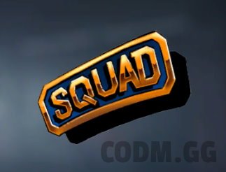 Squad Patrol, Rare Sticker in Call of Duty Mobile