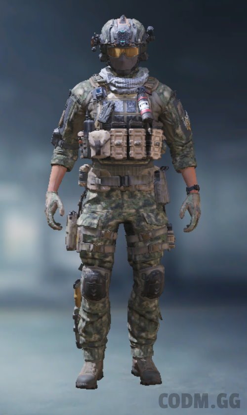 Mil-Sim - Special Warfare, Epic Soldier in Call of Duty Mobile