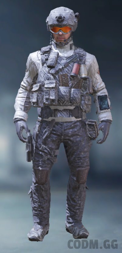 Merc 1 - Brushed Chrome, Rare Soldier in Call of Duty Mobile