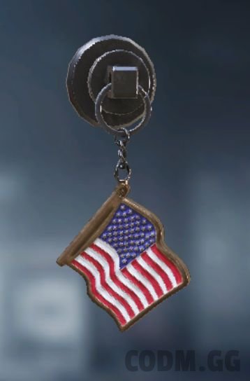 American Flag, Epic Charm in Call of Duty Mobile