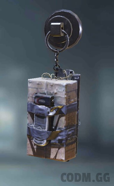 Pocketed, Epic Charm in Call of Duty Mobile