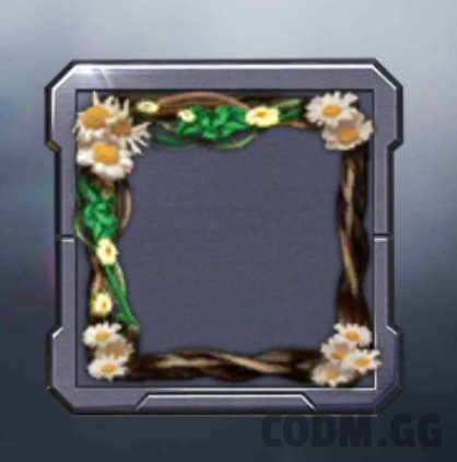 Amity Frame, Rare Frame in Call of Duty Mobile