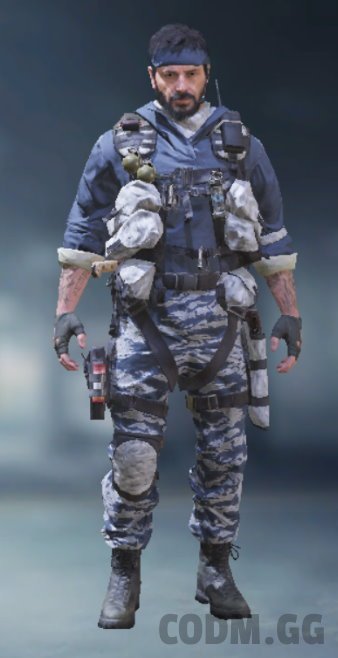 Woods - Cold Snap, Epic Soldier in Call of Duty Mobile