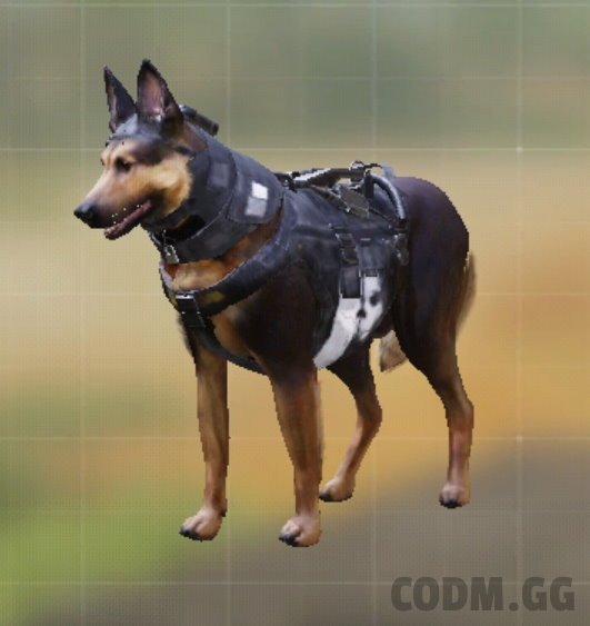 K9 Unit Riley, Legendary camo in Call of Duty Mobile