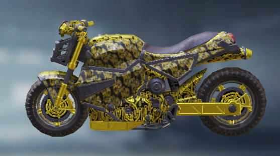 Motorcycle Coined, Rare camo in Call of Duty Mobile