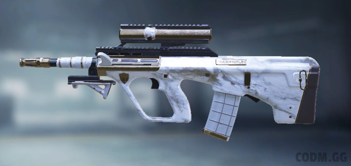 AGR 556 Al Rukh, Epic camo in Call of Duty Mobile