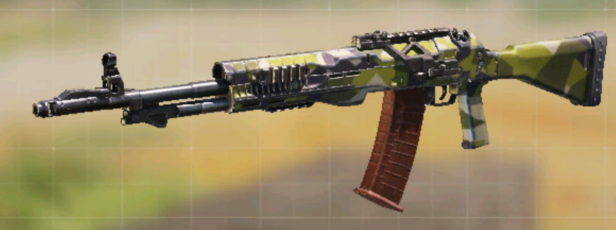 ASM10 Ruins, Common camo in Call of Duty Mobile