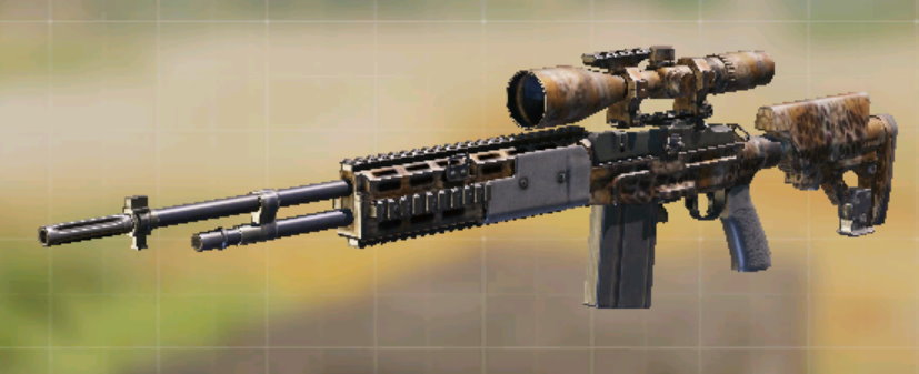 M21 EBR Dirt, Common camo in Call of Duty Mobile