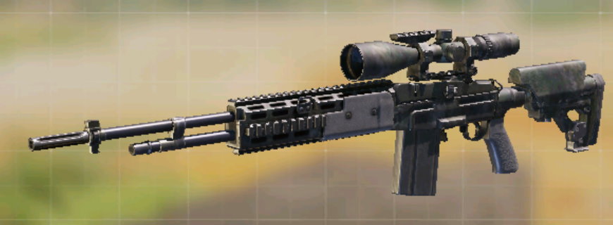 M21 EBR Black Top (Grindable), Common camo in Call of Duty Mobile