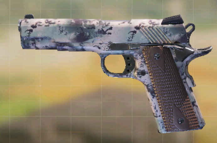MW11 China Lake, Common camo in Call of Duty Mobile