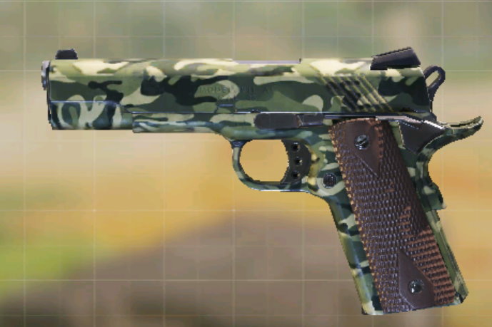 MW11 Swamp (Grindable), Common camo in Call of Duty Mobile