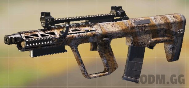 AGR 556 Dirt, Common camo in Call of Duty Mobile