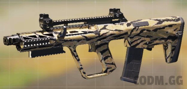 AGR 556 Tiger Stripes, Common camo in Call of Duty Mobile